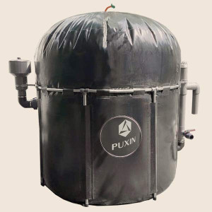 Puxin Biodigester Biogas Plant